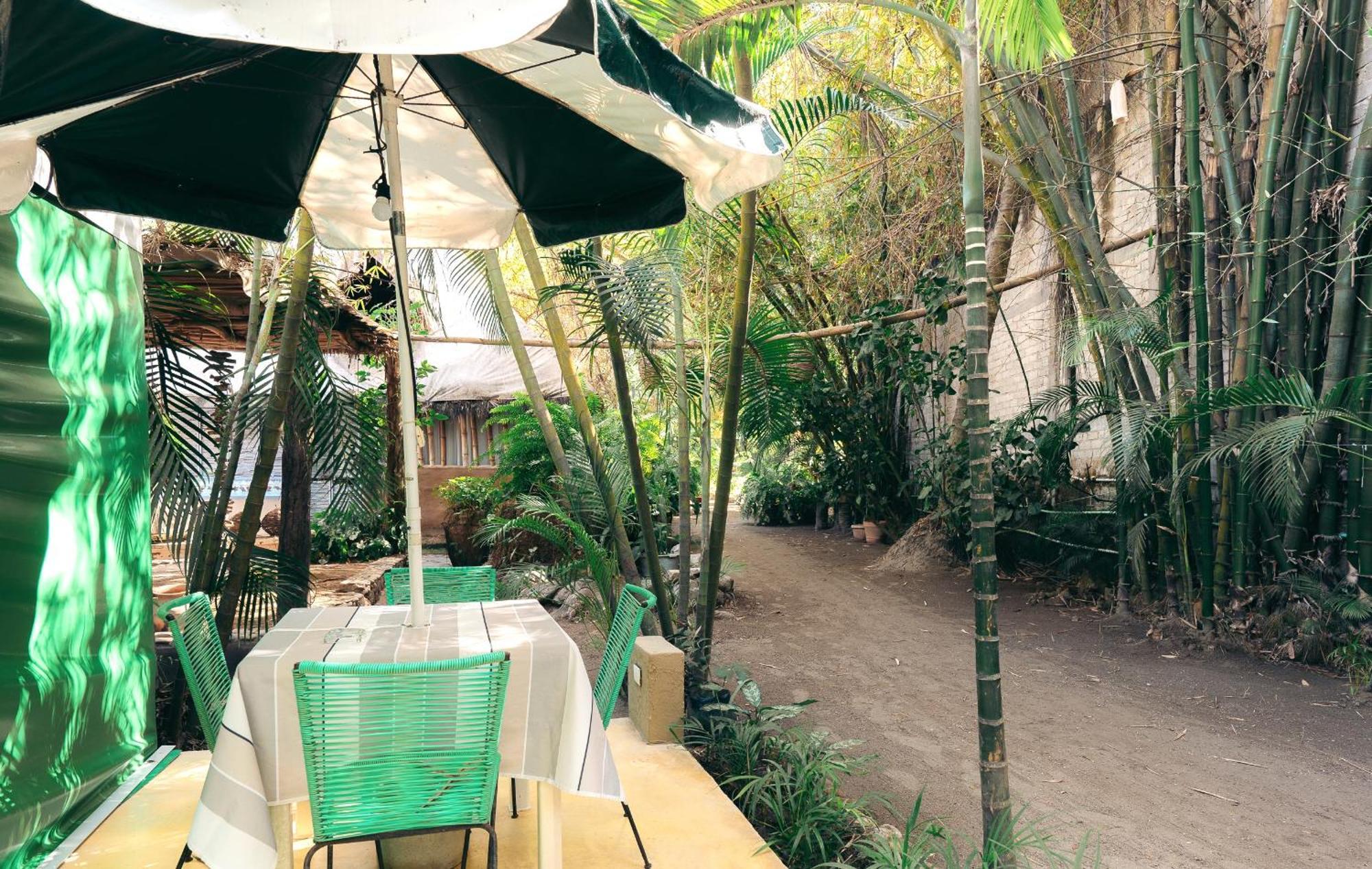 Junto Al Rio Bungalows & Suites Sayulita Eksteriør bilde