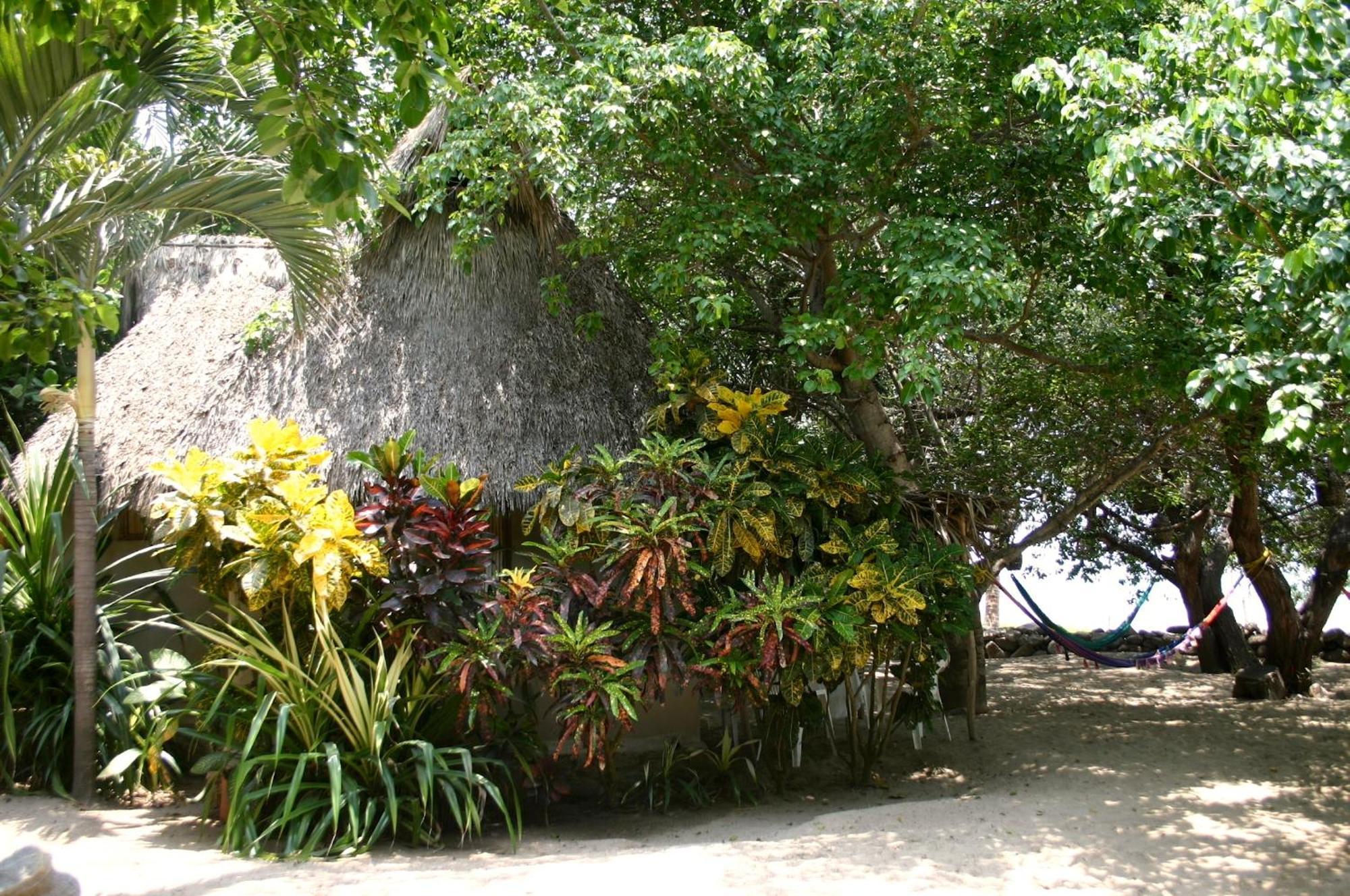 Junto Al Rio Bungalows & Suites Sayulita Eksteriør bilde