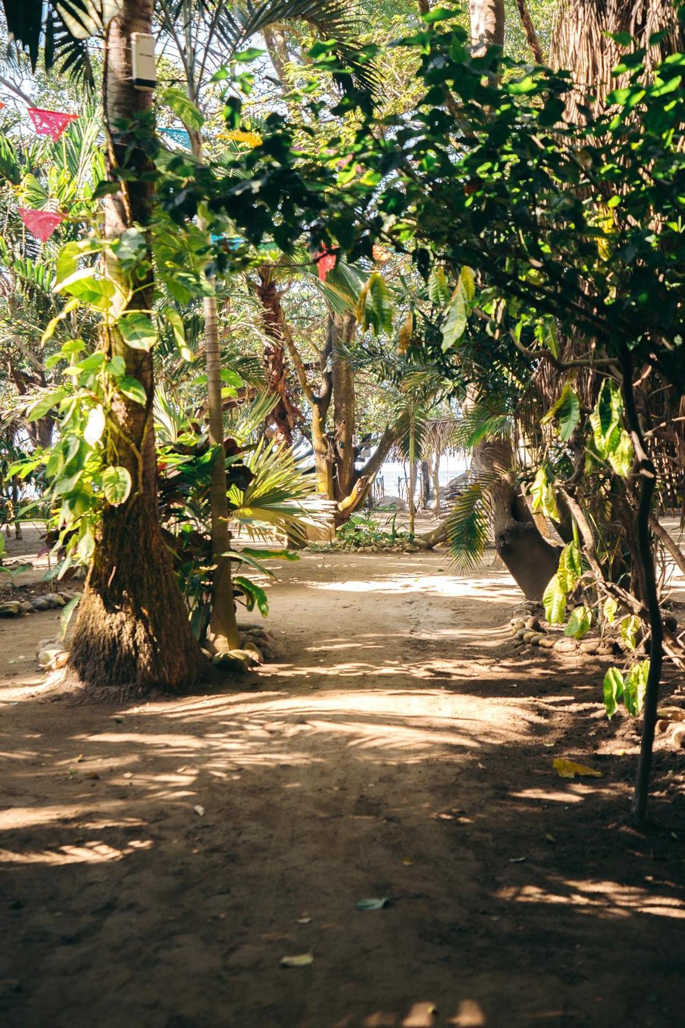 Junto Al Rio Bungalows & Suites Sayulita Eksteriør bilde
