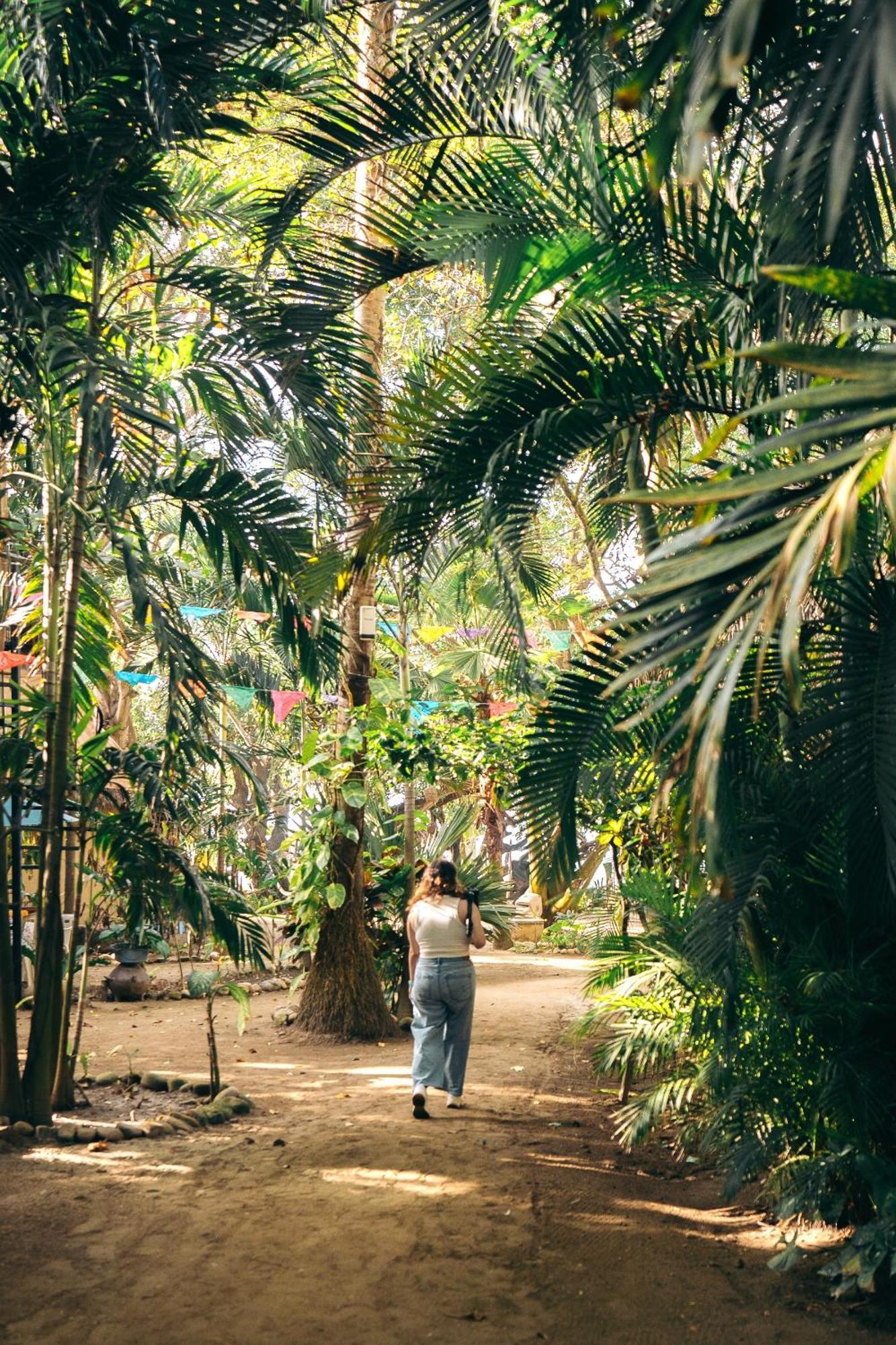 Junto Al Rio Bungalows & Suites Sayulita Eksteriør bilde